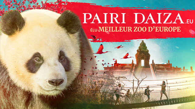 Package Pairi Daiza | Van der Valk Hotel Mons Congres